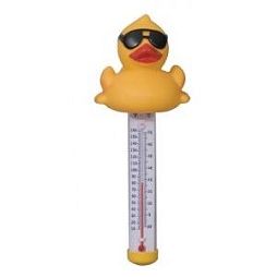 Термометры для воды в бассейне